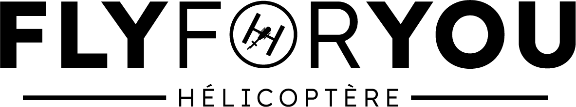 Logo Fly For You